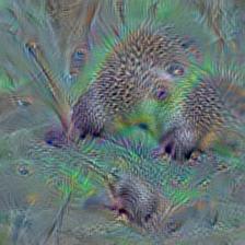 n02346627 porcupine, hedgehog